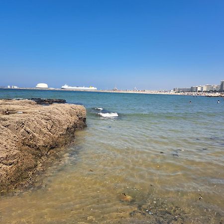 Matosinhos Relax And Fun By Portoproperties4You Eksteriør billede