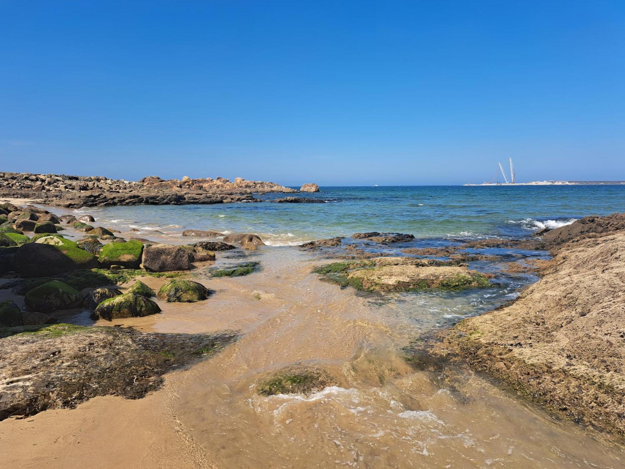 Matosinhos Relax And Fun By Portoproperties4You Eksteriør billede